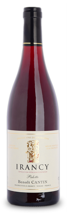 Irancy Palotte - Domaine Benoit Cantin Irancy